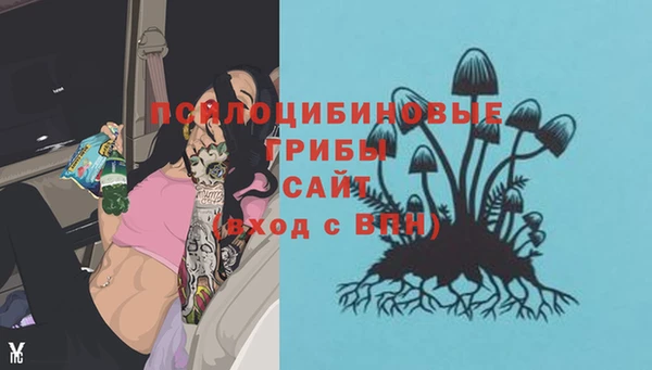 спайс Балахна