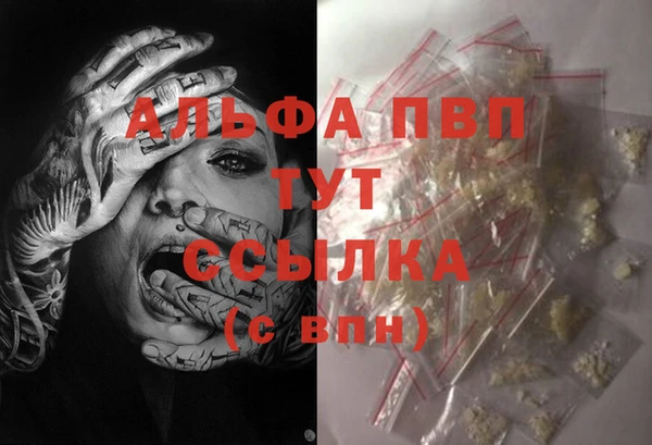 ECSTASY Беломорск